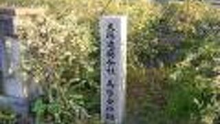 説明文が無かった