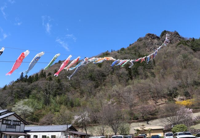 青空に鯉のぼりが泳ぐ春の絶景