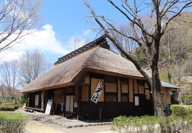 中之条での一押しのおそば屋さん