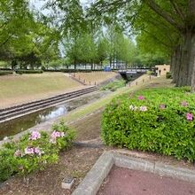 緑豊かな公園です。