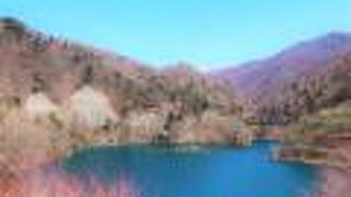 春は雪の王冠と四万ブルーのコラボ