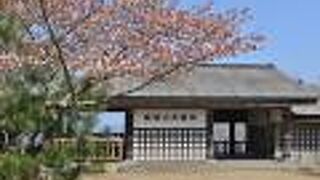 上千本でも開花は遅い