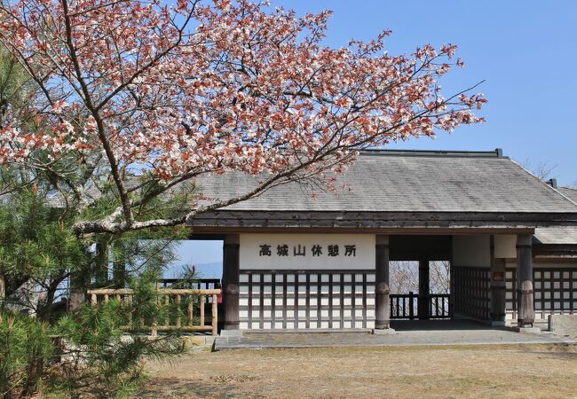 上千本でも開花は遅い