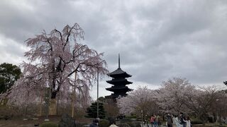 京都駅から歩いて東寺へ！五重塔はいい感じです