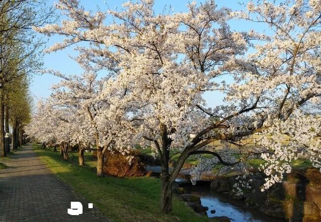 押切川公園庭園