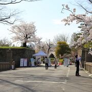 桜で囲まれた真田氏の居城
