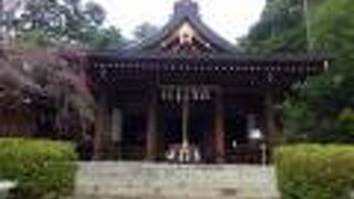 小高い丘の上に社がありました