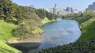 【桜田濠】天然の地形を活かした下り坂は絶景