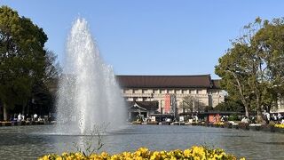 【竹の台噴水】公園のほぼ中央にある大きな噴水です