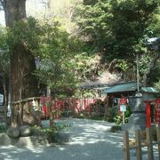 意外と見どころの多い八雲神社