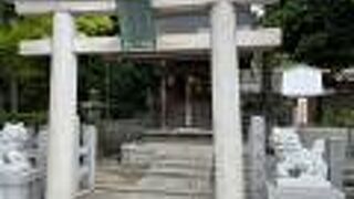 悪は強力という意味らしいです