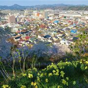 一関市街地の眺めがすばらしい桜の名所