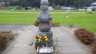 ここまで飛んできた？