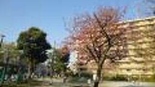 商店街近くの賑わう公園