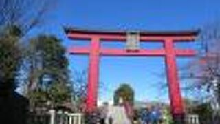 2月〜3月は梅まつり