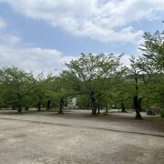 八坂神社がある公園