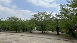 八坂神社がある公園