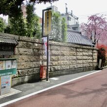 右手の桜は経王寺の桜
