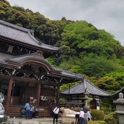 花が綺麗です。