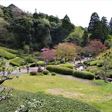 手入れの行き届いた境内