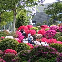 行列がすごかったです