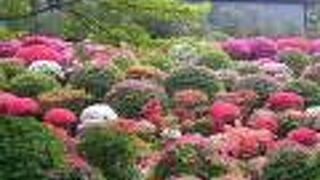 すごい人でした