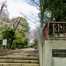 西日暮里駅側から見ると小高い丘の上