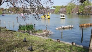 生きものがいっぱい。