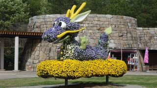 広大な敷地なので，駐車する場所をあらかじめ考えておきましょう。