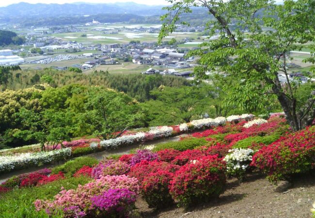 日輪寺つつじ祭り