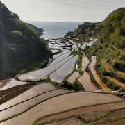 素敵な光景！