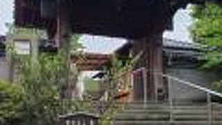 小さいですが立派です