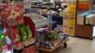 北海道のブルーベリー