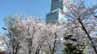 あべのハルカス　日本一高いビル