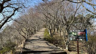 展望や散策が楽しめる空中公園