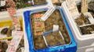 充実の魚売り場。