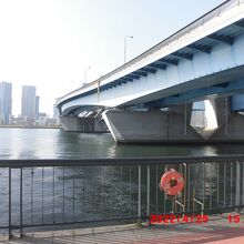 豊洲ぐるり公園の遊歩道から見上げる