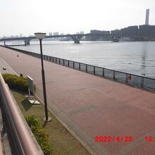 遊歩道と豊洲大橋