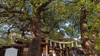 原宿にあるパワースポット