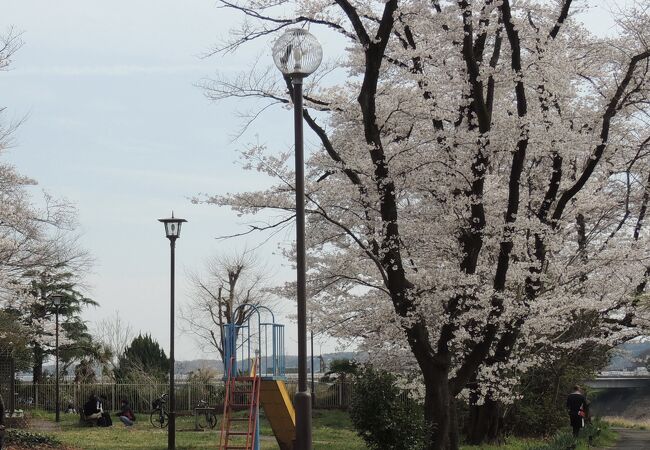 永田橋の近く