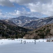 良い雪！