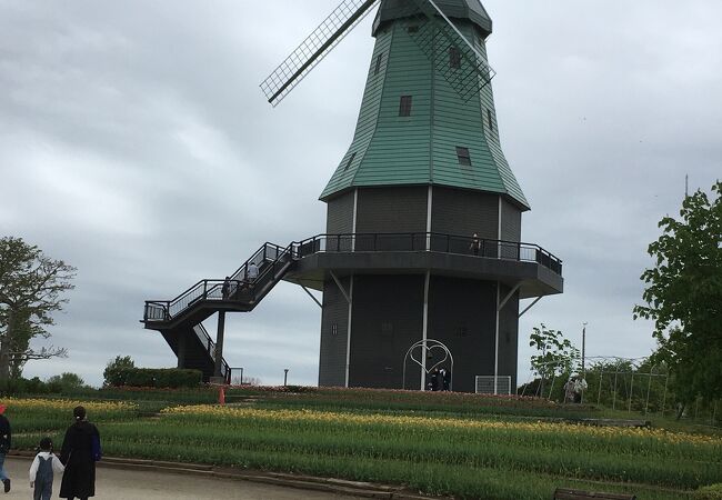 オランダ型風車 クチコミ・アクセス・周辺情報｜土浦 - フォー