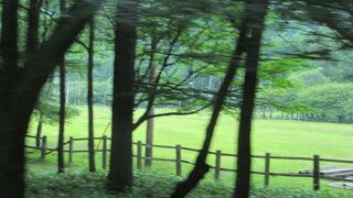 修学旅行の思い出