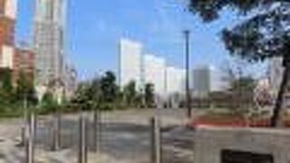 このあたりから汽車道の桜とランドマークタワーがよく見えました