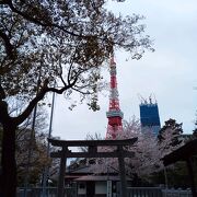 桜の花と東京タワー