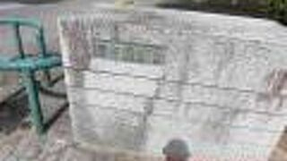 大きな噴水と霊峰立山をデザインした花時計