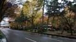 少しの赤色が入ったメインカラーは白色の落ち着いたデザインの車体