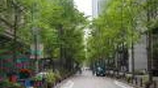 街路樹が映える