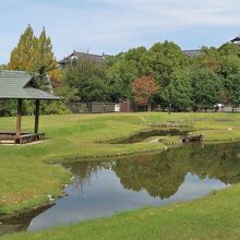西小池・木々の向こうに奈良ホテル