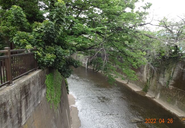 交通量の多い幹線道路のわきにこの一里塚がありました。